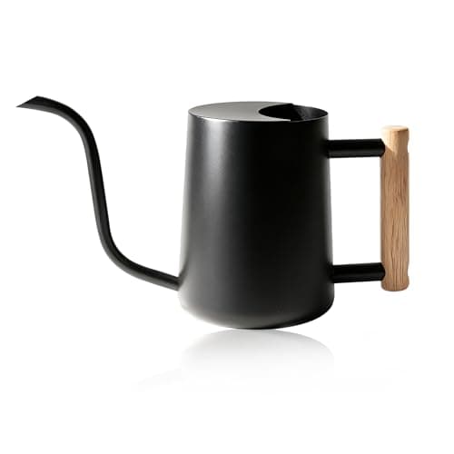 Bamworld Arrosoir Plantes d'intérieur 35 oz Petit arrosoir en acier inoxydable Bidon d'eau pour plantes d'intérieur et d'extérieur Fleurs de jardin (Noir)