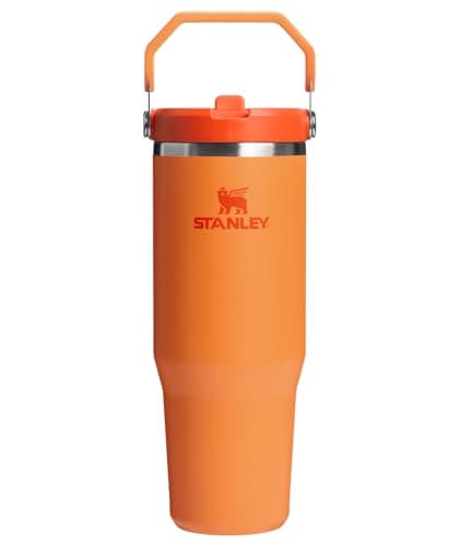 Stanley IceFlow 2.0 Flip Straw Tumbler with Handle 30 oz | Twist On Lid and Flip Up Straw | Leak Resistant Water Bottle | Insulated Stainless Steel...
