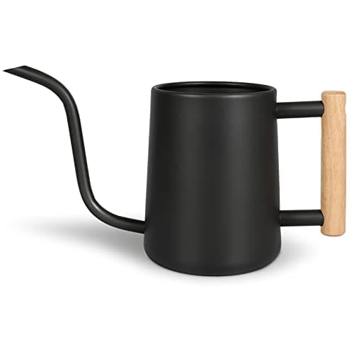 Watering Can for Indoor Plants, 35 oz/1000 ml Metal Stainless Steel Pot with Long Spout for House Plants Bonsai Outdoor Garden Flower Decorative...