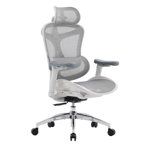 Chaise de bureau ergonomique SIHOO Doro C300 avec accoudoirs 3D ultra doux, support lombaire dynamique pour chaise de bureau à domicile, chaise de bureau à dossier réglable,...