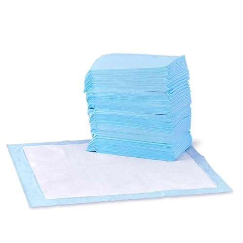 Amazon Basics Dog and Puppy Pads, Leak-Proof 5-Layer Pee Pads with Quick-Dry Surface for Potty Training, Regular (22 x 22 Inches) - Pack of 150