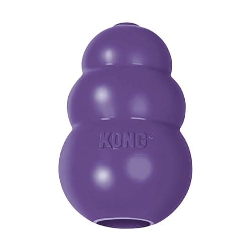 KONG Jouet pour chien senior en caoutchouc naturel doux – Amusant à mâcher, chasser et rapporter – Pour petits chiens