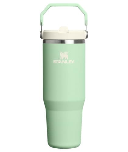 Stanley IceFlow 2.0 Flip Straw Tumbler with Handle 30 oz | Twist On Lid and Flip Up Straw | Leak Resistant Water Bottle | Insulated Stainless Steel...