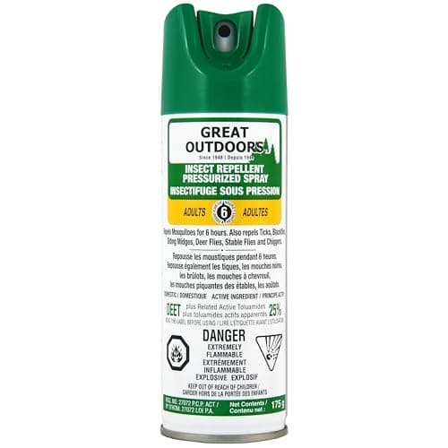 Great Outdoors Insect Repellent 25% DEET Aerosol Spray, 175g