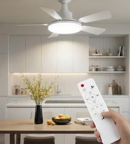 Ceiling Fan with Lights and Remote, 24Inch Socket Fan Light with 3 Wind Speeds, 3000K-6500K Dimmable, Timer, 6000LM Bright Small Low Profile...