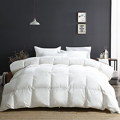 APSMILE King Size Luxe 100 % coton biologique toutes saisons Couette en fibres de plumes à haut pouvoir gonflant Insert de couette à chaleur moyenne, (106 x 90, ivoire...