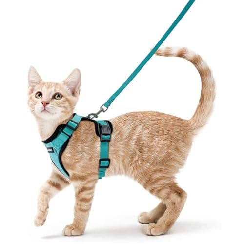 rabbitgoo Cat Harness and Leash for Walking, Escape Proof Soft Adjustable Vest Harnesses for Small Medium Cats, Easy Control Breathable Reflective...