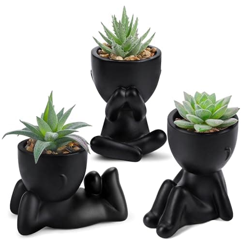 Der Rose 3Pcs Fake Plants Small Artificial Succulent, Cute Faux Plants for Home Bathroom Bedroom Living Room Office Desk Shelf Black Decor Indoor...