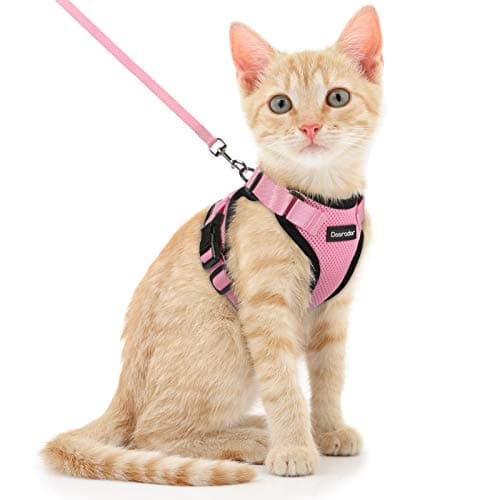 Dooradar Harnais et laisse pour chat anti-évasion pour la marche, harnais réglable pour chats de petite et moyenne taille, veste douce et facile à contrôler, rose, XS