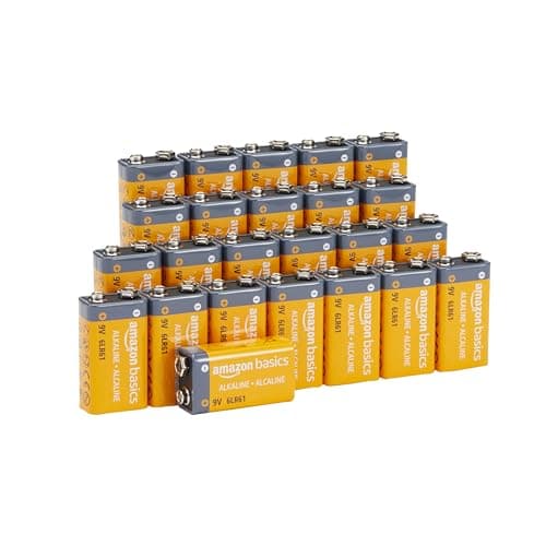 Amazon Basics Piles alcalines quotidiennes 9 V (paquet de 24)
