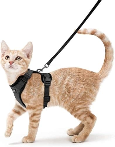 rabbitgoo Cat Harness and Leash for Walking, Escape Proof Soft Adjustable Vest Harnesses for Small Medium Cats, Easy Control Breathable Reflective...