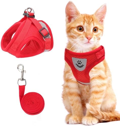 Cat and Small Dog Vest Harness for Walking - All Weather Mesh With Reflective Strap, Step in Adjustable for Small Cats (Red, XS)