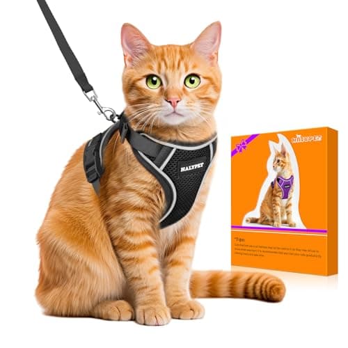 Halypet Ensemble harnais et laisse pour chat [H600 Pro] Anti-évasion, réglable, respirant, réfléchissant Noir S