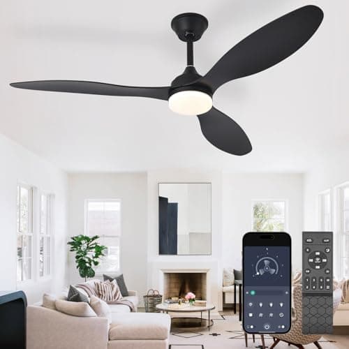 Ventilateur de plafond MuyuTc avec lumières et télécommande : ventilateurs de plafond intérieur et extérieur à intensité variable de 52 pouces avec contrôle par application - Ventilateur noir moderne pour chambre à coucher, salon...
