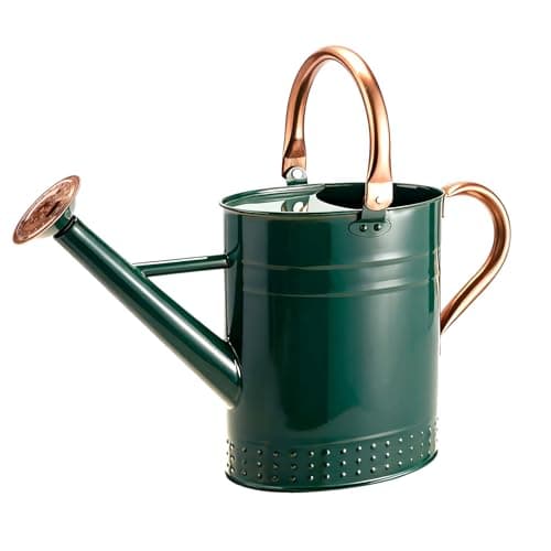 Bamworld Watering Can Indoor Plants 1 Gallon Stainless Steel Watering Can Long Spout Water Can for Indoor Outdoor Garden Plants Watering(Green)