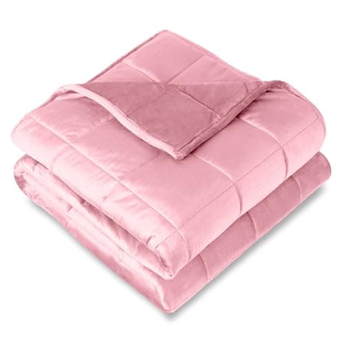Bare Home Weighted Blanket Twin or Full Size 10lb (40" x 60") for Adults - Minky Fleece - Premium Heavy Blanket Nontoxic Glass Beads (Light Pink,...