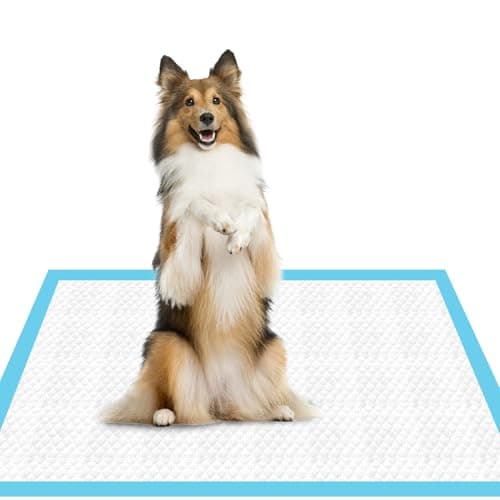 Puppy Pads, Super Absorbent Waterproof Training pad for Dogs and Puppies, Advanced Leak Proof Technology for Housebreaking and Training,...