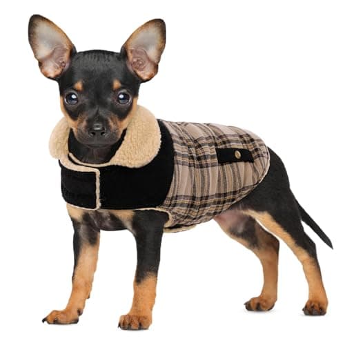 Manteau d'hiver pour petits chiens, veste à carreaux pour chiot, veste pour chien pour temps froid, vêtements chauds coupe-vent, tenues épaisses pour animaux de compagnie, intérieur et extérieur, beige S