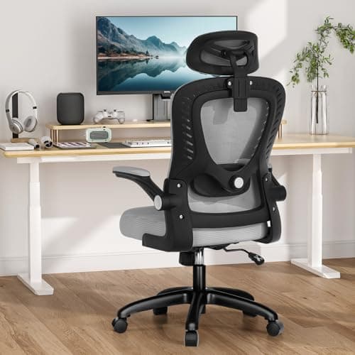 Office Chair, SPRDENG Ergonomic Office Chair with Two-Way Adjustable Lumbar Support & Headrest, High Back S-Shaped Computer Chair with Flip-up...