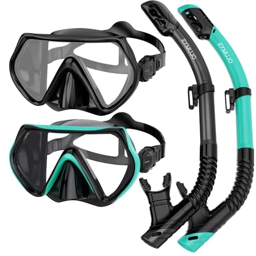 Ensemble de tuba pour adultes, masque de plongée en apnée, équipement de plongée sous-marine, lunettes de natation avec cache-nez et kit de tube de tuba sec, vue panoramique à 180° en verre trempé