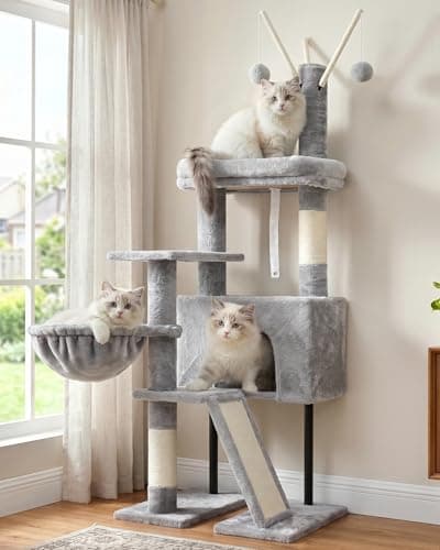 Arbre à chat Gitelsnour, tour à chat pour chats d'intérieur avec griffoir pour petits chats et chatons, maison pour chat avec plate-forme supérieure amovible et...