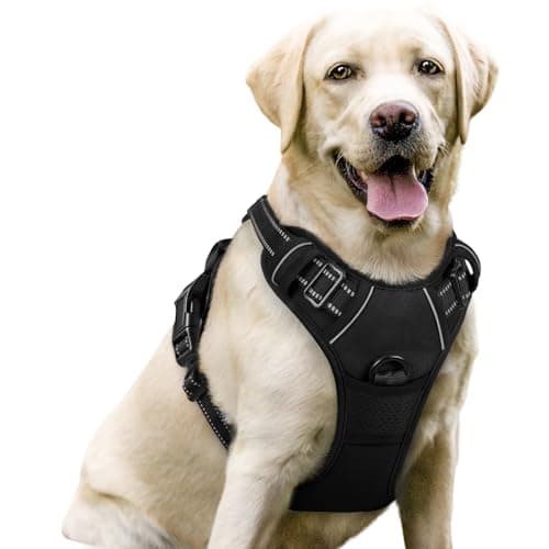 rabbitgoo Dog Harness, No-Pull Pet Harness with 2 Leash Clips, Adjustable Soft Padded Vest, Reflective No-Choke Pet Oxford Vest with Easy Control...