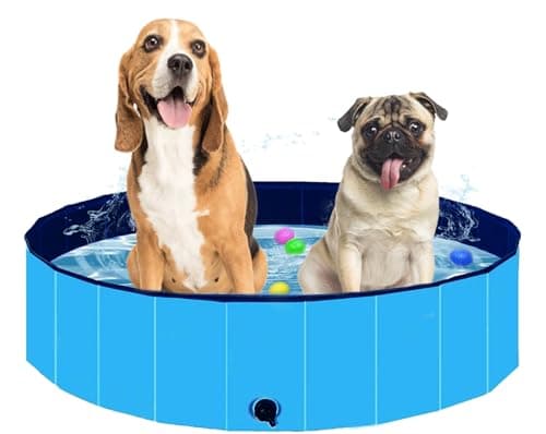 Piscine pliable pour chien Favuit, piscine pliable pour chien, piscine portable pour animaux de compagnie, pataugeoire pour chiens, baignoire pour grands et petits chiens, PVC durable, facile à installer...