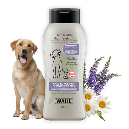 Wahl Canada Shampooing et revitalisant pour chien quatre en un, shampooing dérivé de plantes à la camomille lavande, pour nettoyer, revitaliser, démêler et hydrater votre...