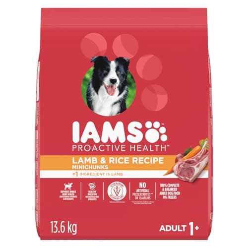 IAMS Proactive Health Minichunks Nourriture sèche pour chiens – Croquettes croquantes pour chiens adultes – Recette d'agneau et de riz – Sac de 13,6 kg (30 lb)