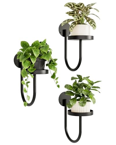 Bamworld 3-Pack Wall Planters for Indoor Plants, Modern Style, Hanging Plant Holder, Window Plant Hanger, Black, 32 x 19 x 15 cm, Space Saving,...