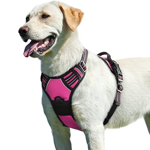 Eagloo Dog Harness No Pull, Walking Pet Harness with 2 Metal Rings and Handle, Adjustable Reflective Breathable Oxford Soft Easy Control Vest for...