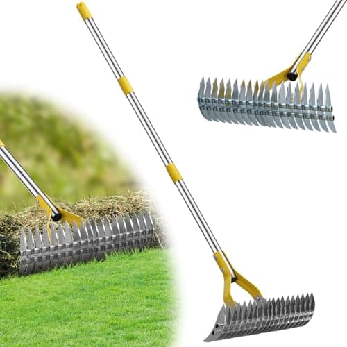 Thatch Rake for Lawn, Stainless Steel Garden Rake for Leaves,Thatch,55” Heavy Duty 19 Tines Lawn Manual Dethatcher with Adjustable Head,Thatching...