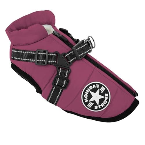 Oncpcare Veste pour Petit Chien avec Harnais, Gilet de Sport pour Chien d'extérieur, Harnais de Manteau d'hiver Chaud pour Animaux de Compagnie pour Chats Chiot Petits Chiens M