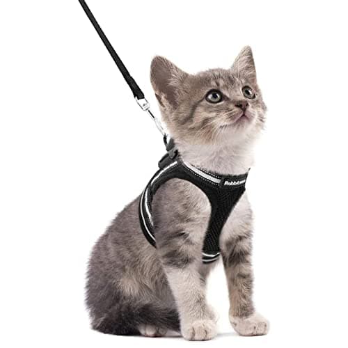 rabbitgoo Cat Harness and Leash Set for Walking Escape Proof, Adjustable Soft Kittens Vest with Reflective Strip for Cats, Comfortable Outdoor...
