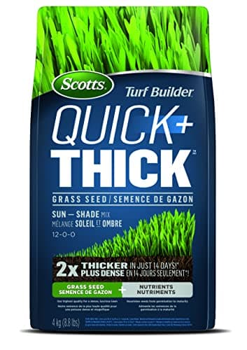 Scotts Turf Builder Quick + Thick Grass Seed (Sun and Shade Mix) - 4 kg |(576 sq Meters / 6,210 sq feet Coverage) Grow a Thick, Green Lawn Fast....