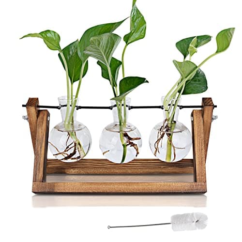 Hbnlai Plant Propagation Station, Plant Terrarium with Wooden Stand for Hydroponic Plants Home Garden Office Decor Indoor, Gardening Birthday Gifts...