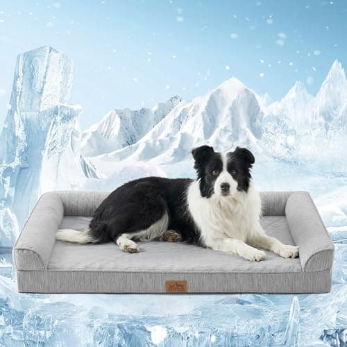 COSY KISS Lit rafraîchissant pour chien pour l'été, lit orthopédique pour chien en mousse avec côtés, housse amovible lavable et doublure imperméable, Q-Max >0,4 Lits frais pour animaux de compagnie...