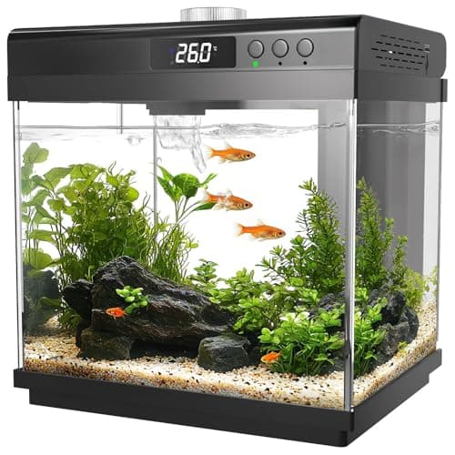 AQQA Kit de démarrage d'aquarium de 3,7 gallons Petit aquarium en verre avec filtre et lumière (10 couleurs réglables) Kit d'aquarium Betta autonettoyant de bureau...