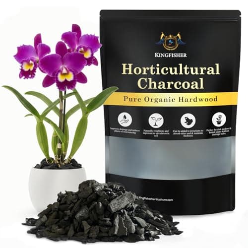 Organic Horticultural Charcoal for Plants & Terrariums - Pure Canadian Maple Biochar - Hardwood Potting Soil Amendment - Improves Drainage & Odor...