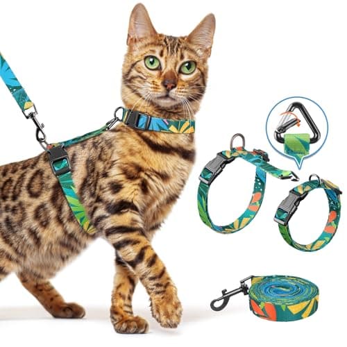 Ensemble harnais et laisse pour chat Halypet, colliers [3 EN 1 léger et réglable] Harnais pour chat anti-évasion, harnais pour chaton doux et confortable pour chats...