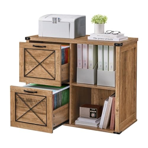 VASAGLE Lateral File Cabinet, Filing Cabinet with 2 Drawers, Printer Stand, 2 Open Compartments, Fit A4, Letter Size, Hanging File Folders, for...
