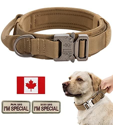 Collier tactique pour chien de grande et moyenne taille, collier militaire robuste avec drapeau du Canada et 2 patchs (L (45,7 - 54,1 cm), marron)