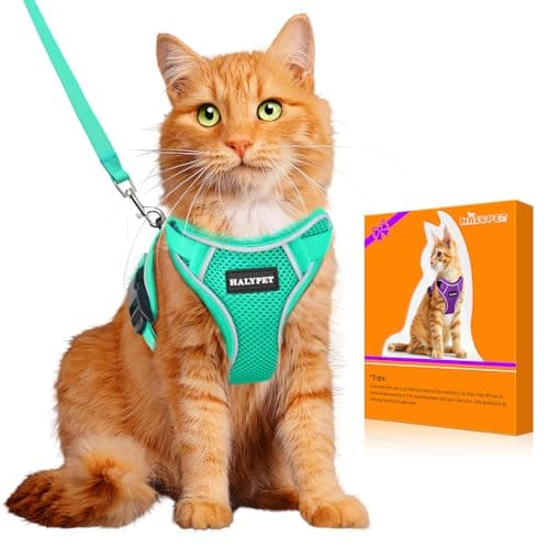 Ensemble harnais et laisse pour chat Halypet [H600 Pro] Harnais pour chat anti-évasion pour la marche, laisse pour chat de voyage réglable, respirante et confortable, réfléchissant...