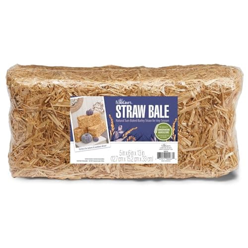 FloraCraft Straw Bale, 6-Inch by 5-Inch by 13-Inch, Natural