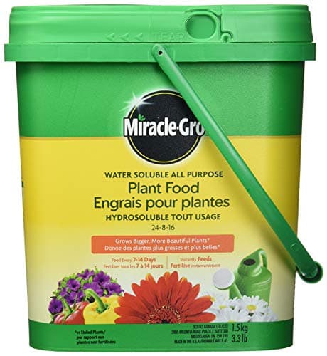 Miracle-Gro Engrais pour plantes tout usage soluble dans l'eau, 1,5 kg | Nourrit instantanément toutes les fleurs, légumes, arbres et arbustes pour des plantes plus grandes et plus belles.