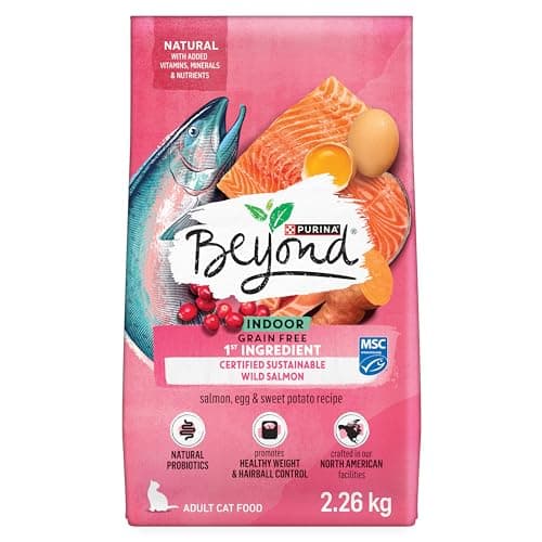 Beyond Grain Free Nourriture sèche naturelle pour chat, saumon et œuf sauvages pour chat d'intérieur - Sac de 2,26 kg