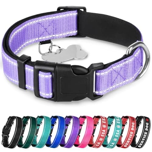 TECEUM Reflective Dog Collar – Lavender – M – Extra Soft Padding – Basic Nylon Dog Collar – Quick Release Buckle – Fits 