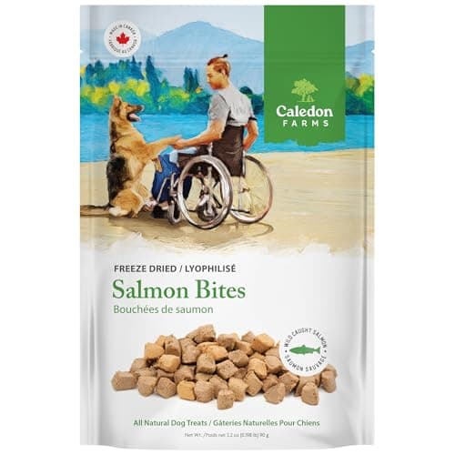 Caledon Farms, Salmon Bites - Freeze Dried, 90 g, Dog Treats