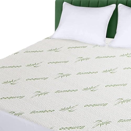 Sasttie Queen Mattress Protector Waterproof with Viscose for Bamboo, Noiseless Mattress Cover with 8"-21" Deep Pocket (60 x 80 inches)