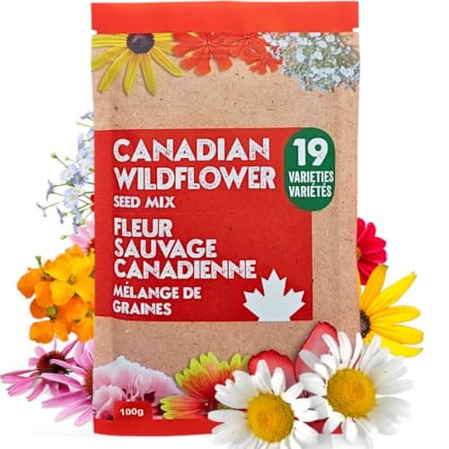 Graines de fleurs sauvages canadiennes 3,6 oz - 20 variétés de graines de fleurs annuelles et vivaces mélangées de Oh! Graines du Canada - Graines de Fleurs Sauvages Wild...